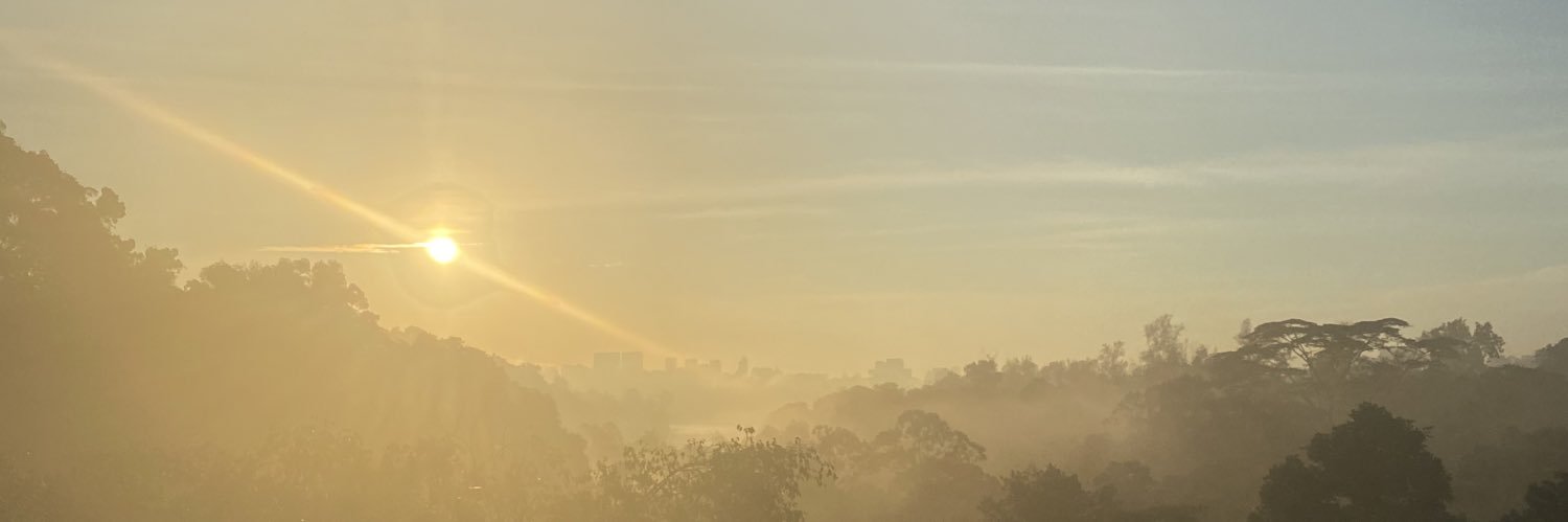 elyijieee's profile banner image