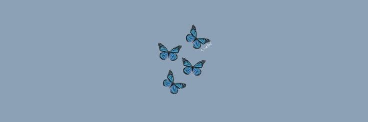 Aguscalvetee's profile banner image