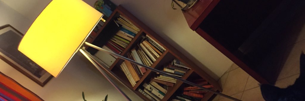 ElLibreroGto's profile banner image