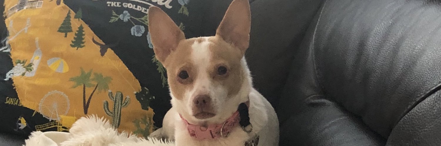 mmamicucci's profile banner image