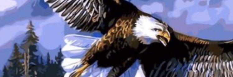 AGUILA Jesus Rengel banner