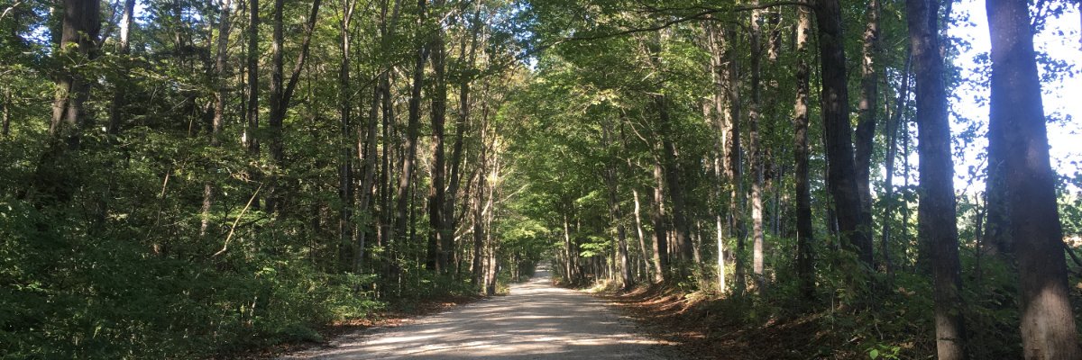 albertasilver's profile banner image