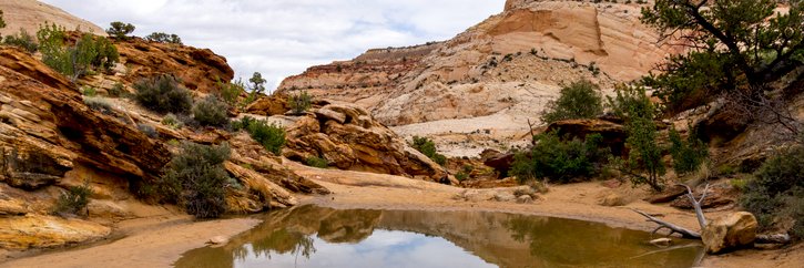 Desert_StreamLW's profile banner image