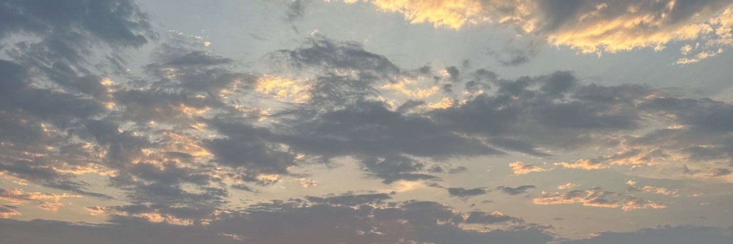 LiLie_Li's profile banner image