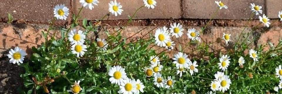 marehan_salem's profile banner image