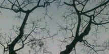 endiecee's profile banner image