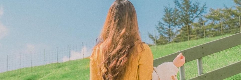 icheswan's profile banner image