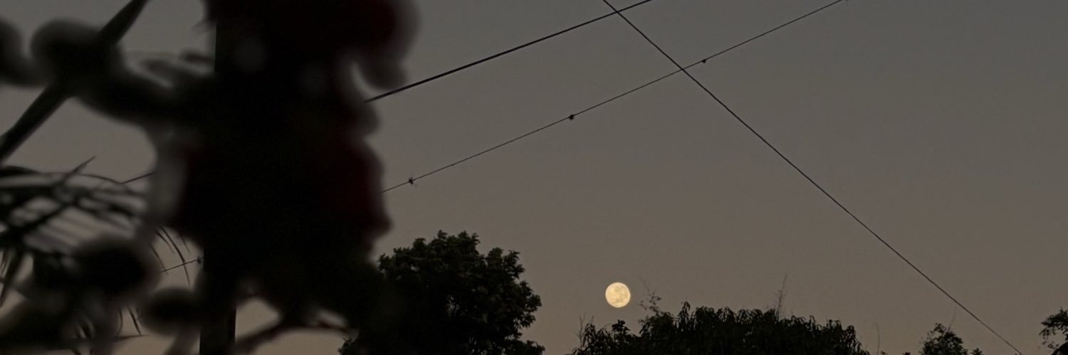 mariaandreacol1's profile banner image