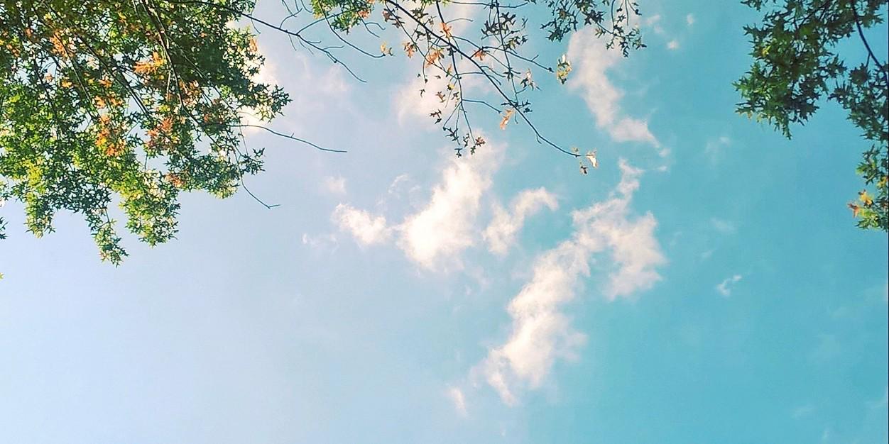 ZayDaSupaSaiyan's profile banner image