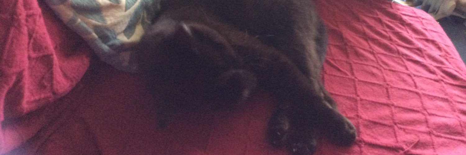 janicebrown39's profile banner image