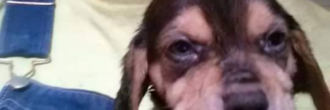 Doug Weurding banner