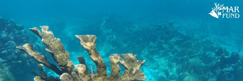 MAR_Fund's profile banner image