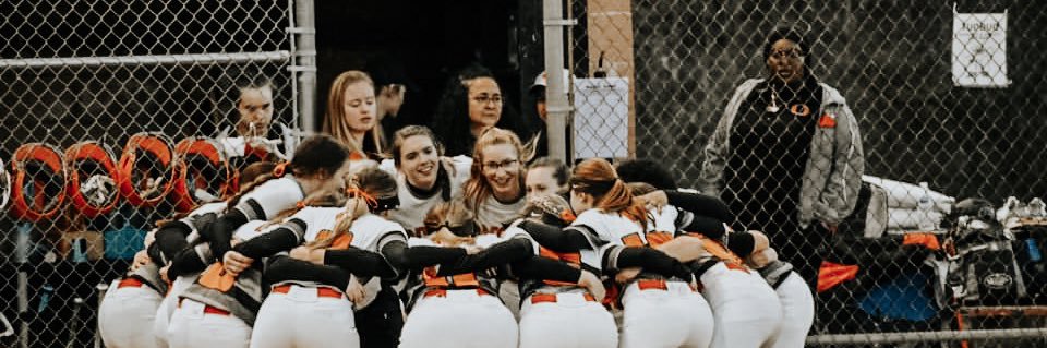 Orange Softball banner