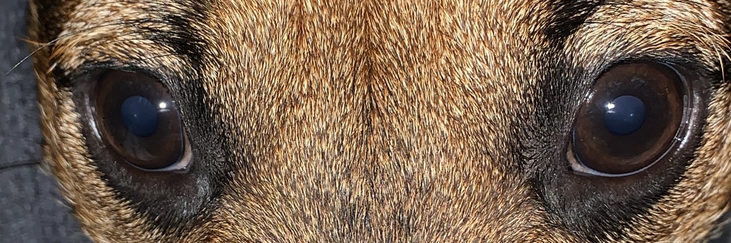 DaveRoberts85's profile banner image