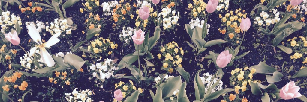 PatriSepul's profile banner image