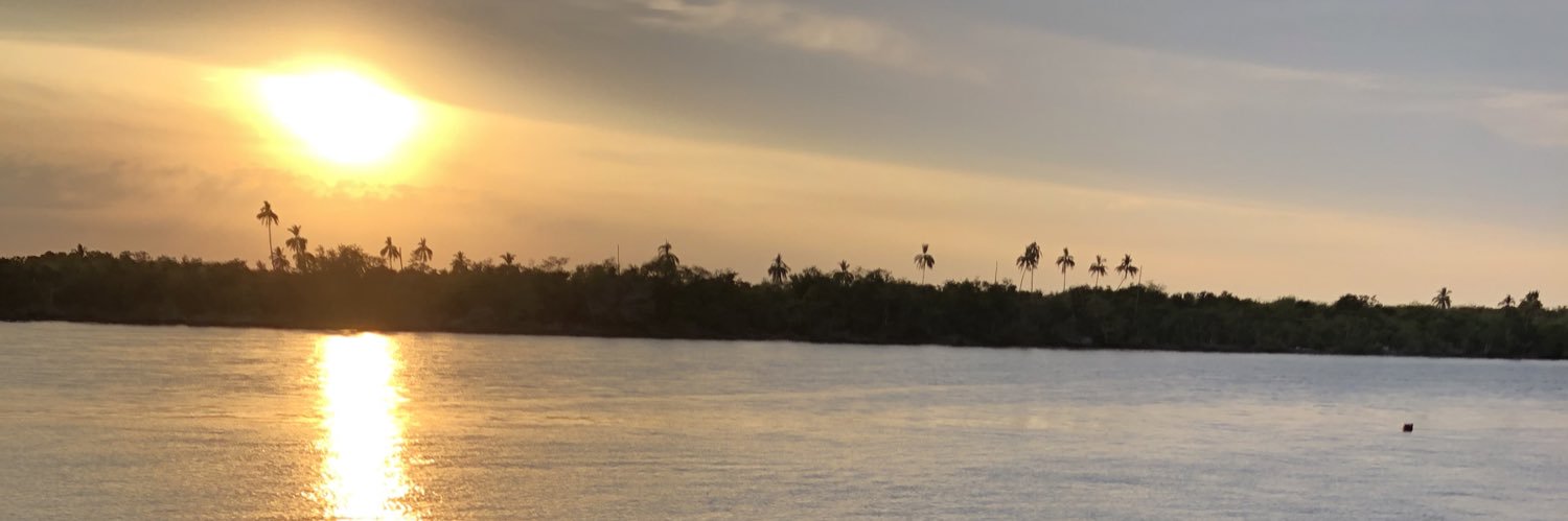 Esther Ronquillo banner