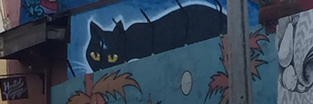 Sarah Lockwood banner