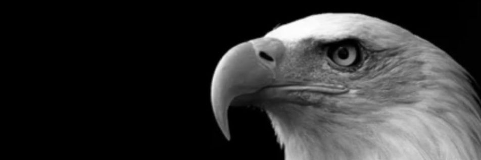 Gaf Ebesi ¹⁹⁰³ banner