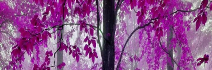 vanecordova7441's profile banner image