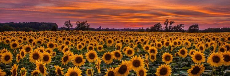 taaymelo_'s profile banner image