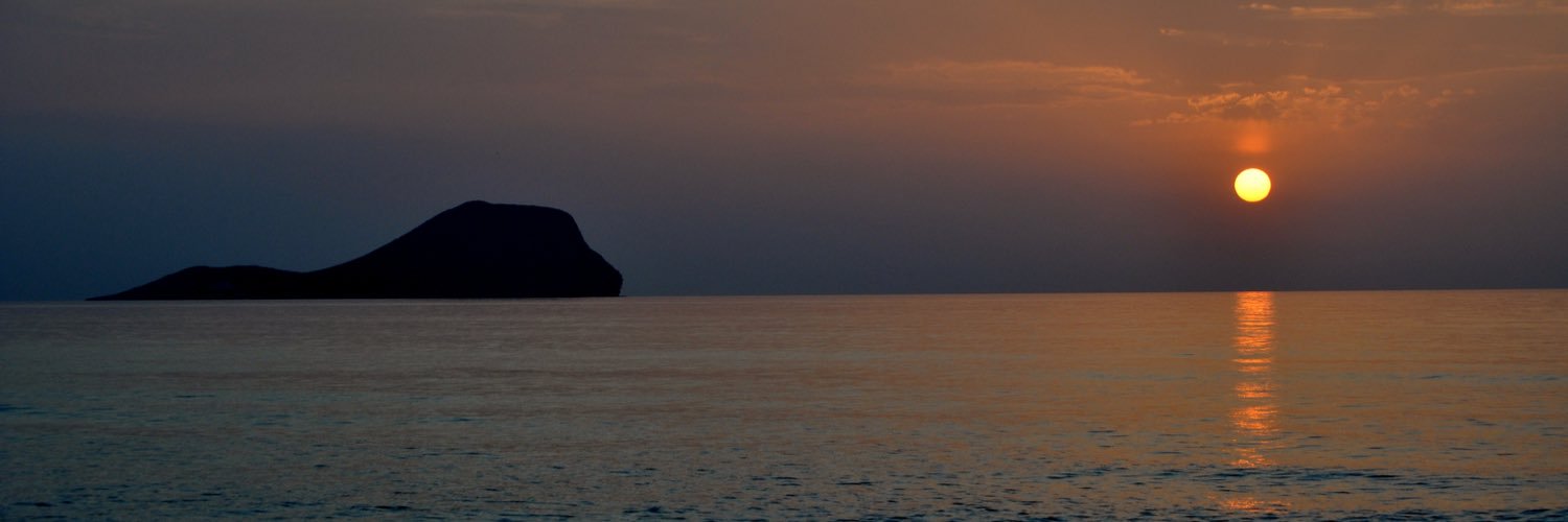 MartimBalotelli's profile banner image