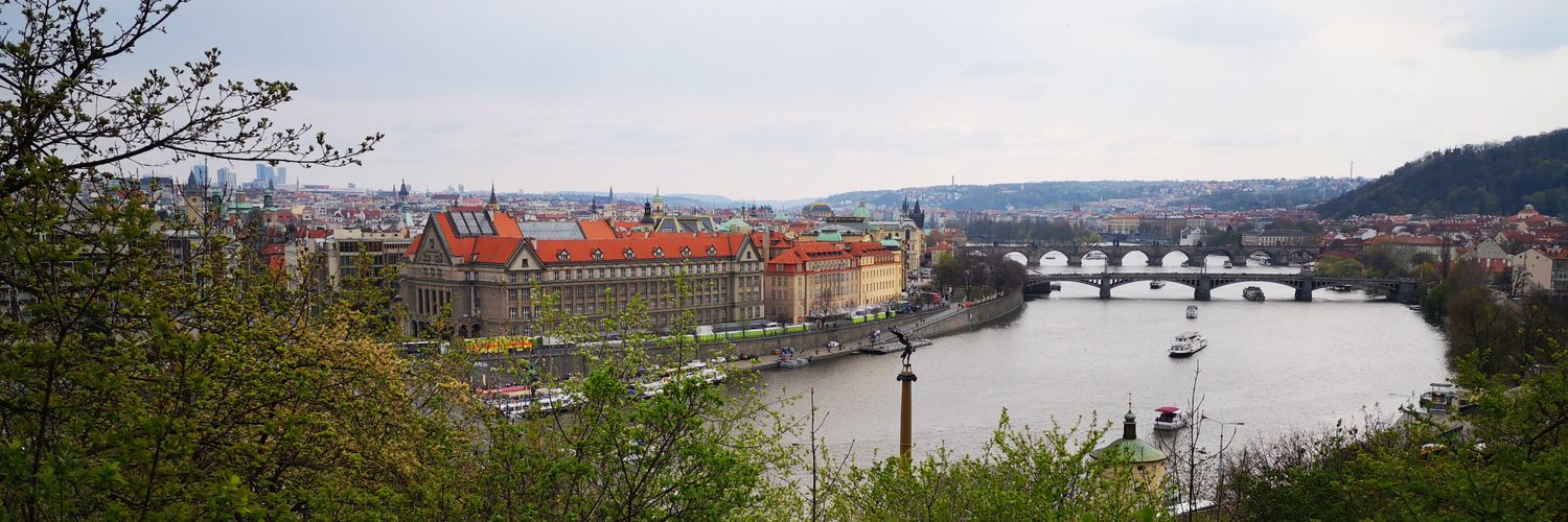 Zlatanade's profile banner image
