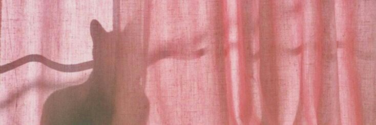 MissIbossy's profile banner image