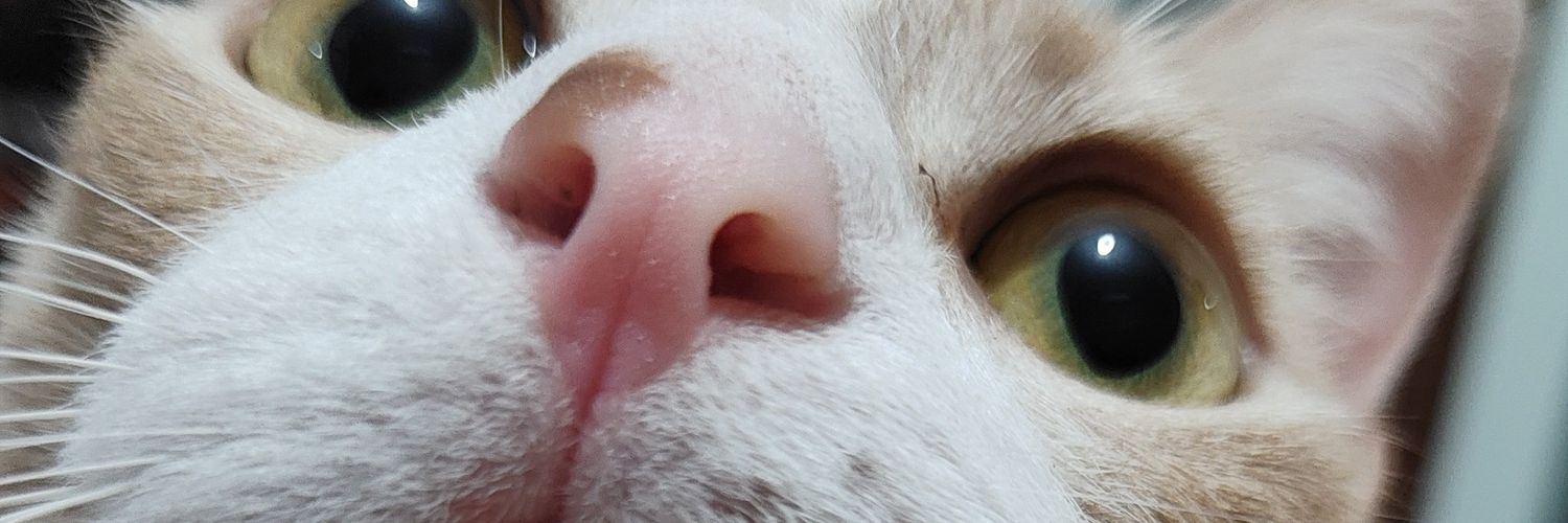 CatalinaMilenaG's profile banner image