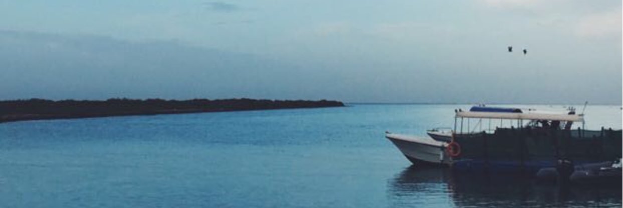 assssa7's profile banner image