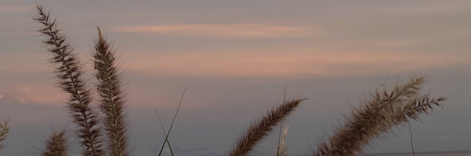 Mfernandez1998's profile banner image