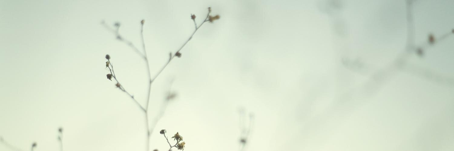 KariDi's profile banner image