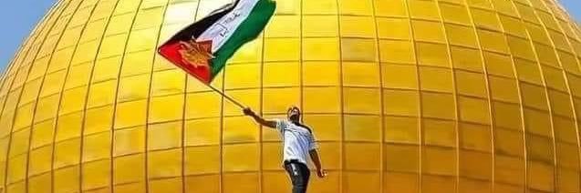 Eman Mustafa | إيمان مصطفى banner