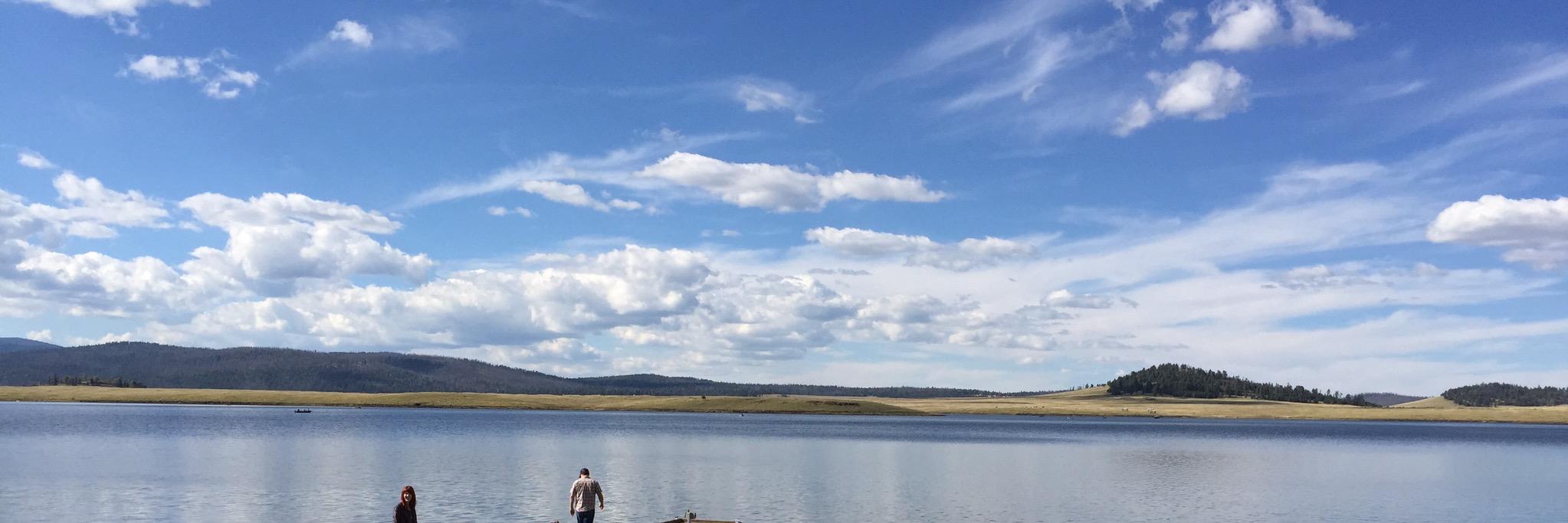DennaCook's profile banner image