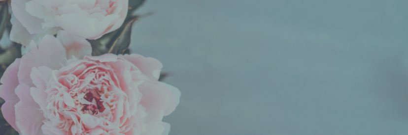 semmy_gee's profile banner image