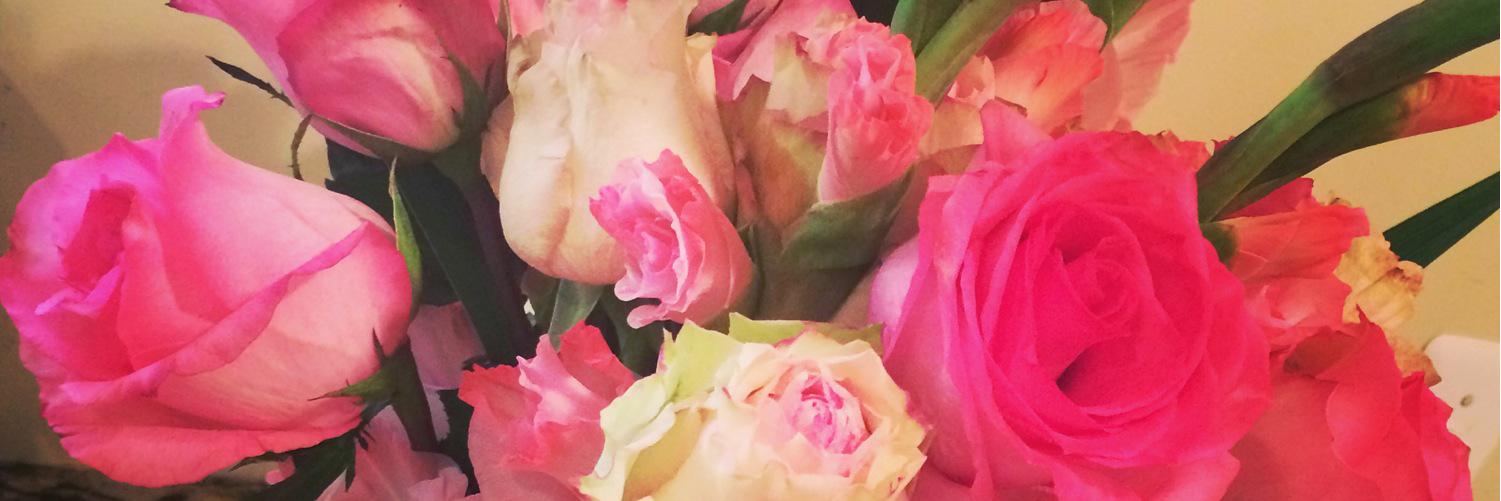 AllisonBagot's profile banner image
