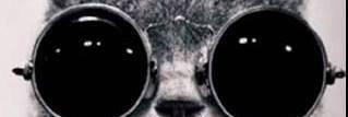 Chilton banner