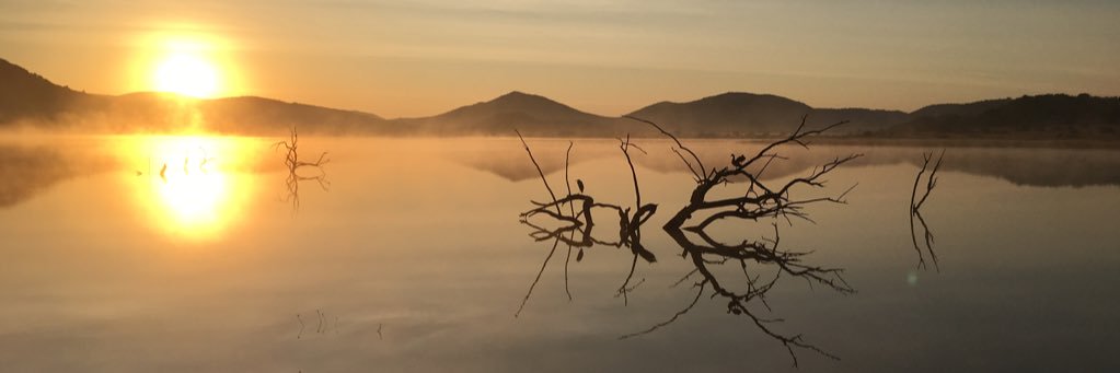 rolitofc's profile banner image