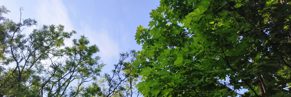 MIRAPU464's profile banner image