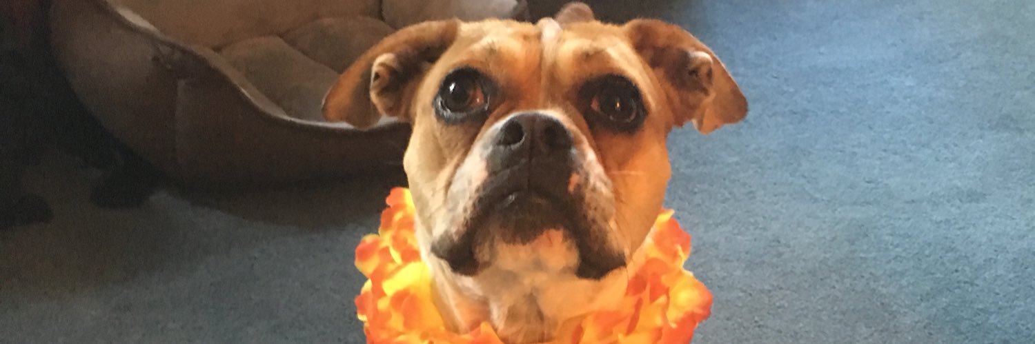 patlmurray's profile banner image