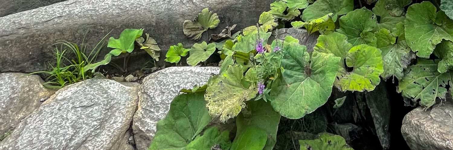 tallal2011's profile banner image
