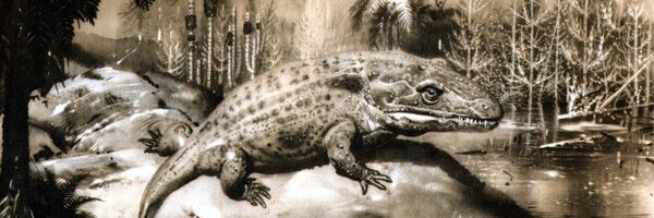 DawidWildstein Profile Banner