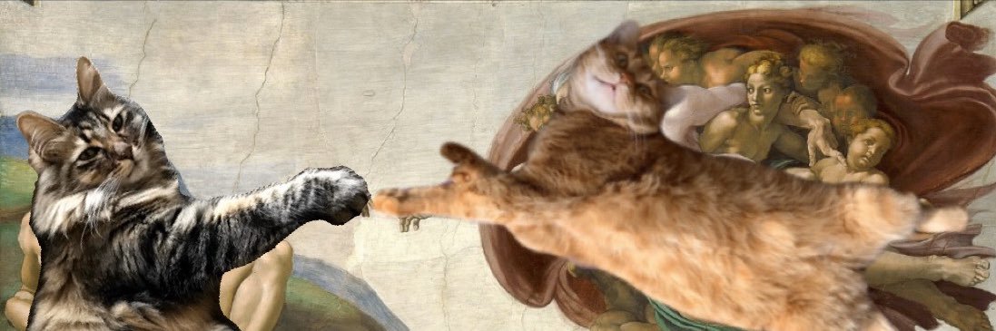 DaRealAmberoni's profile banner image