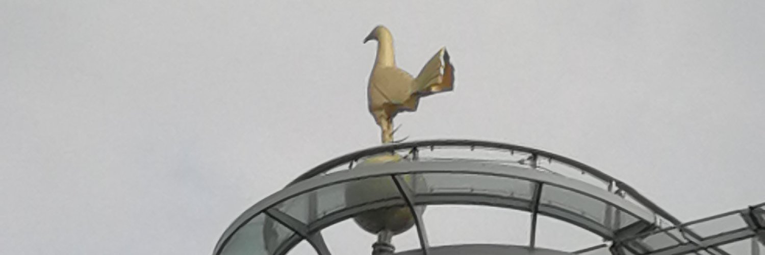 wayneharold's profile banner image
