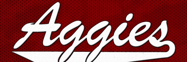 NMSUNSMH's profile banner image