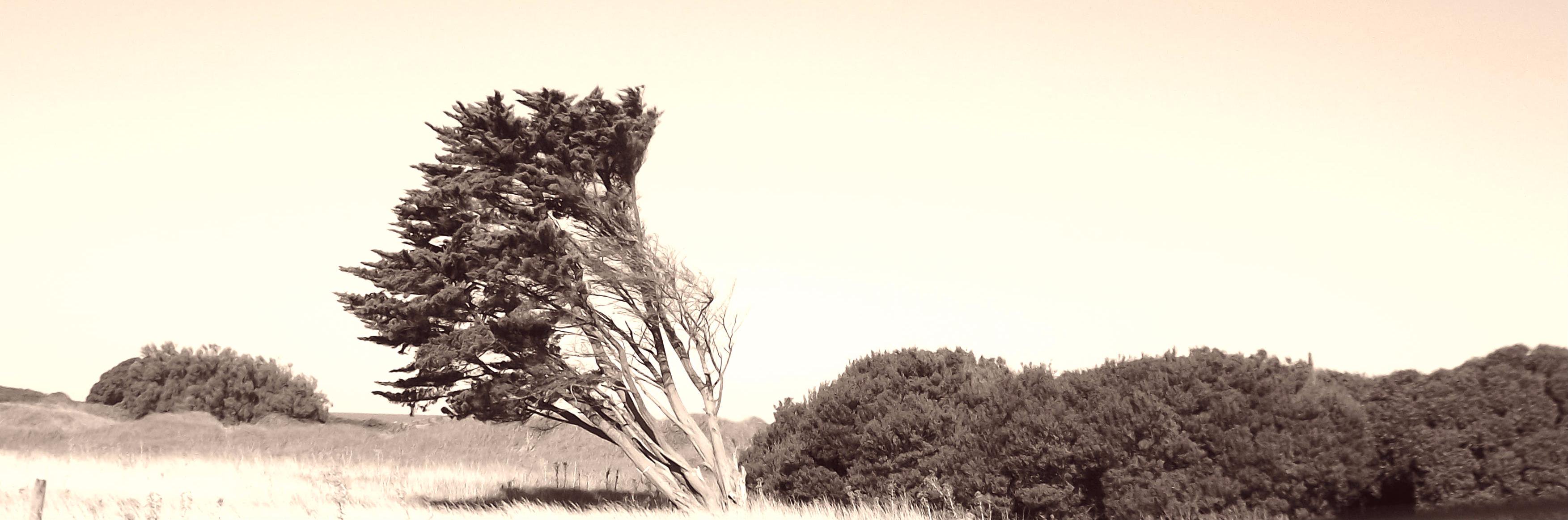 andybelu19's profile banner image