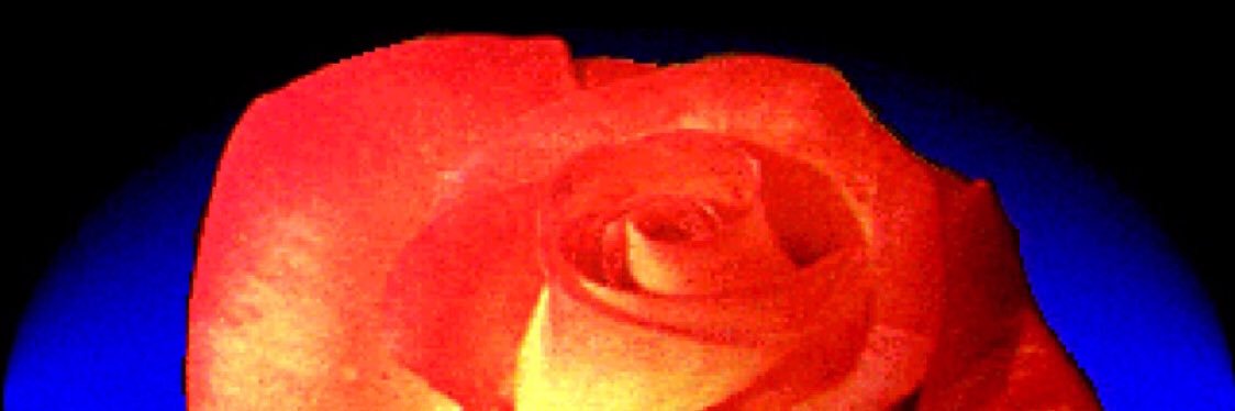 KarinaUnleashed's profile banner image