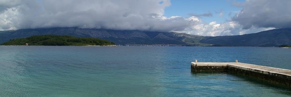 Dr Tamar Koch banner