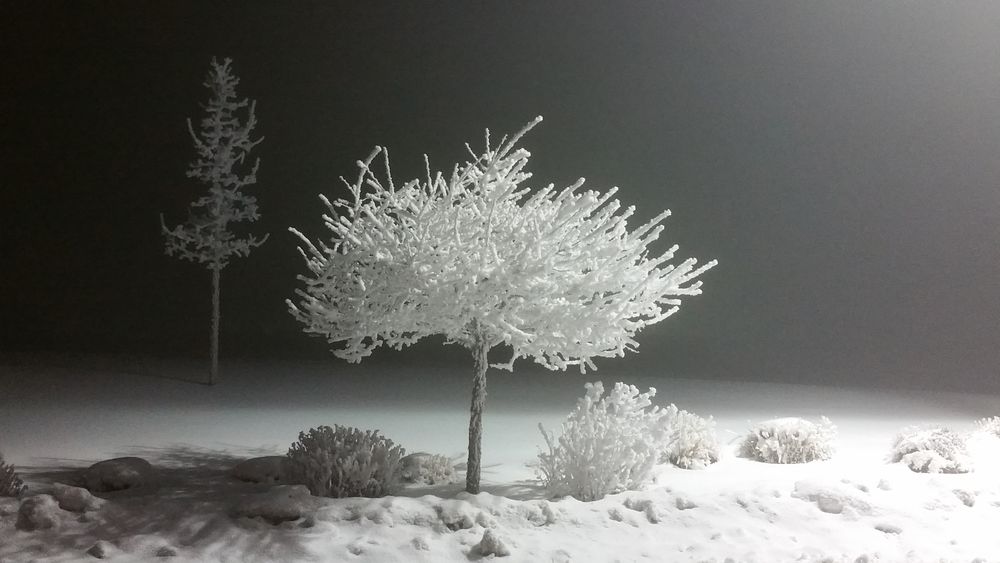 cathy_red's profile banner image
