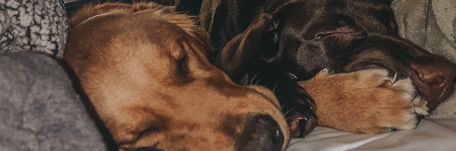 CorinaaaRae's profile banner image