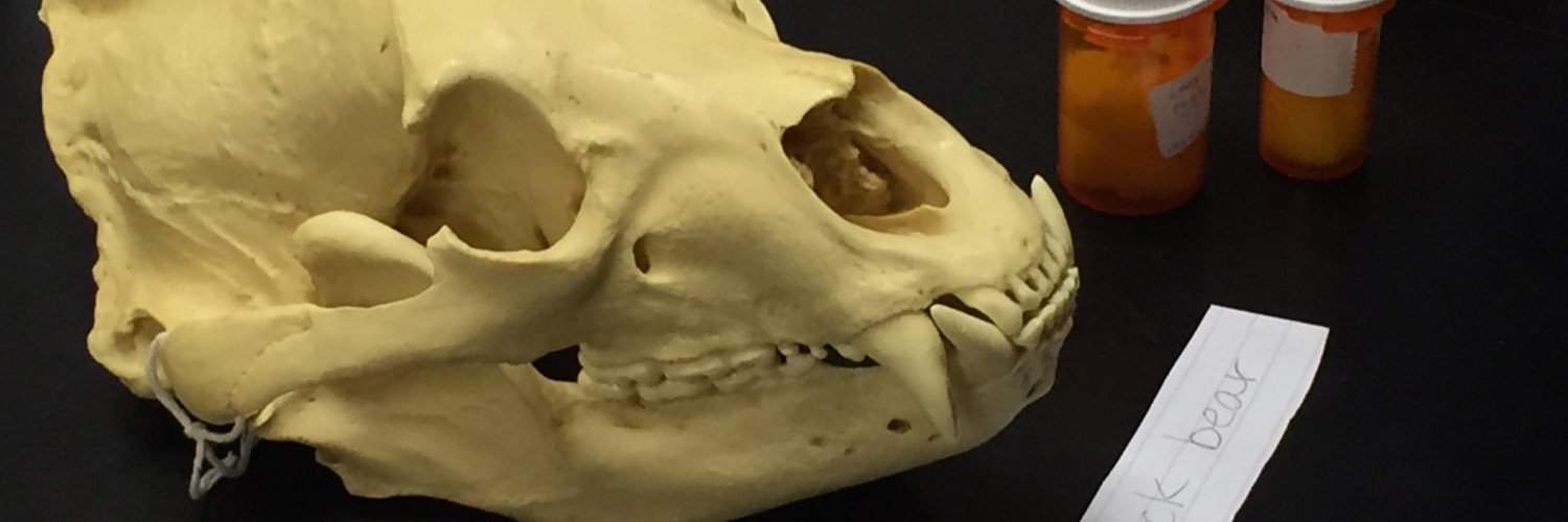 NaturalistGavin's profile banner image